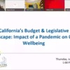 California’s Budget &amp; Legislative Landscape Impact of a Pandemic on Child Wellbeing Webinar Recording
