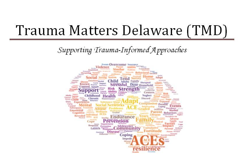 Building Community Resilience - Trauma Matters Delaware event
