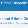 "A Time for Action: Combating Racial and Ethnic Disparities through Inclusion, Equity, and Respect"  (2019 Racial and Ethnic Disparities Conference) Scottsdale, AZ
