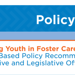 2017-13 Child Welfare Policy Brief.pdf
