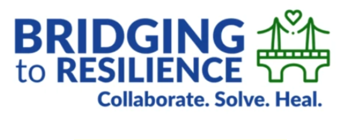 Bridging to Resilience: a virtual conference
