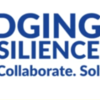 Bridging to Resilience: a virtual conference