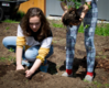 How Daily Farm Work and Outdoor Projects Make Learning in High School Better for Teens (kqed.org)