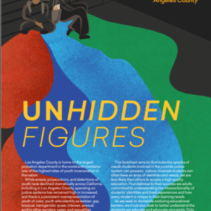 Unhidden Figures: Examing the Characteristics of Justice-Involved Students in LA County (Children's Defense Fund CA - 5 pages)