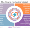 Screen Shot 2023-11-30 at 7.30.30 PM: The "Neuro-Nuturing®" model from creator Deborah McNelis, brain development specialist and author