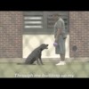 These Dogs Are Giving Inmates a Paws-itive Path Forward (2-minutes NationSwell)
