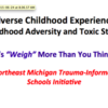 Northeast Michigan Trauma-Informed Schools Initiative
