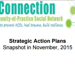 Strategic action plans of several ACEs Connection groups.pdf