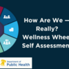 How Are We — Really? Wellness Wheel Self Assessment - Part 1