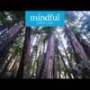 Guided Awe Walk Meditation (4-minutes Mindful)