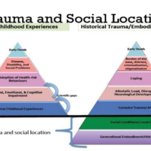 Trauma (ACEs) and Historical Trauma slide.pdf
