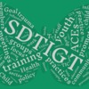 SD-TIGT Butterfly wordcloud (34)