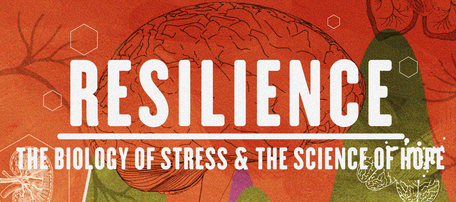 Resilience Screening (Palomar College, San Marcos, CA)