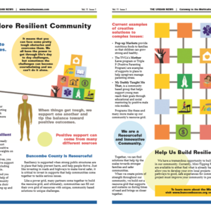 Building a More Resilient Community infographic Buncombe County No. Carolina 2016.pdf