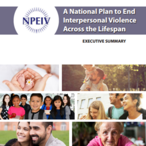 NPEIV - National Plan to End Inerpersonal Violence Across the Lifespan (44 pages)