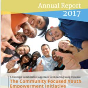 Community Focused Youth Empowerment Initiative_Commission Annual Report 2017.pdf