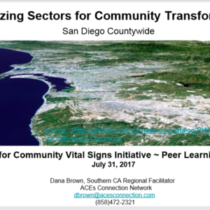 Mobilizing Sectors for Community Transformation - CVS Peer Learning Session