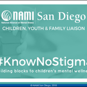 NAMI Children, Youth, and Family Liaison Presentation 3.2.18.pdf