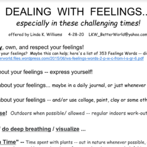 DEALING  WITH  FEELINGS offered during COVID-19 (Linda K. Williams)