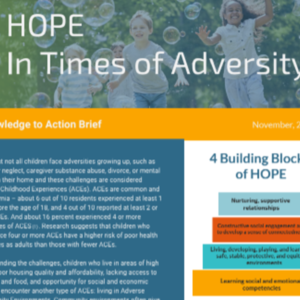 HOPE in Times of Adversity _ Knowledge to Action Brief (2-pages).pdf