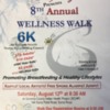 SCIHP BF Walk 2017: SCIHP NBC Wellness Walk Flyer 2017