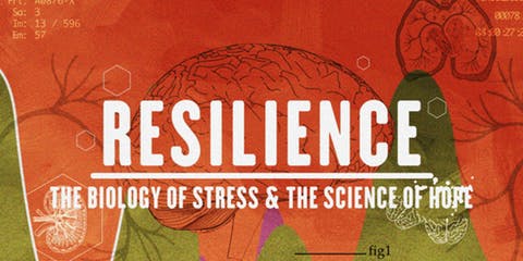FREE Movie! RESILIENCE: THE BIOLOGY OF STRESS &amp; THE SCIENCE OF HOPE, FILM SCREENING