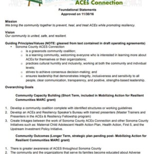 Foundational Statements and Steering Committee Guidelines.pdf