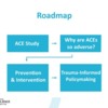 roadmap_policymaking