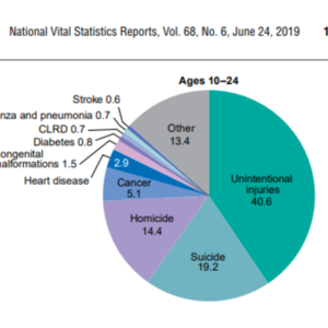 Deaths: Leading Causes of 2017 - National Vital Statistics June 2019 (77 pages)