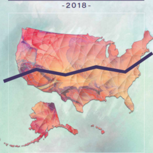 Health, United States 2018 Chartbook: Center for Disease Control, U.S.HHSA (65 pages)