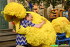 Sesame Street Resources for Families Coping After Natural Disasters