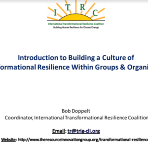 Introduction to Building Transformational Resilience in Groups and Organizations  (42 pages)