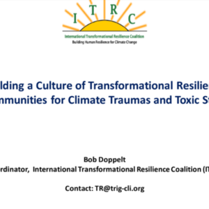 Building A Culture of Transformational Resilience in  Communities (43 pages)