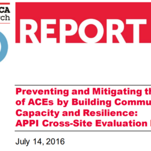 [Full Report] Building Community Capacity and Resilience (2016)