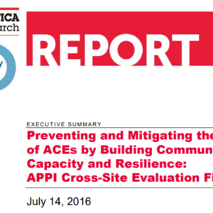 [Executive Summary] Building Community Capacity and Resilience (2016)