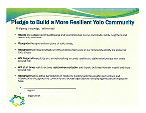 Resilient Yolo Pledge