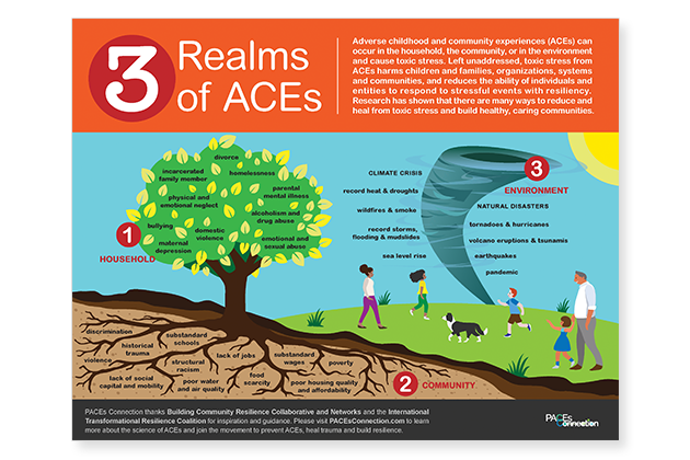 3 Realms of ACEs
